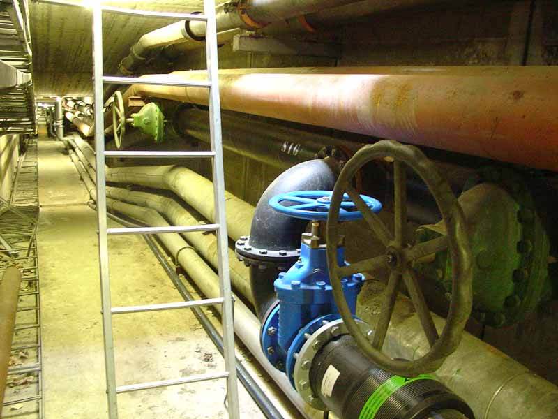 Illustration for article titled LHC Is Half-Life
